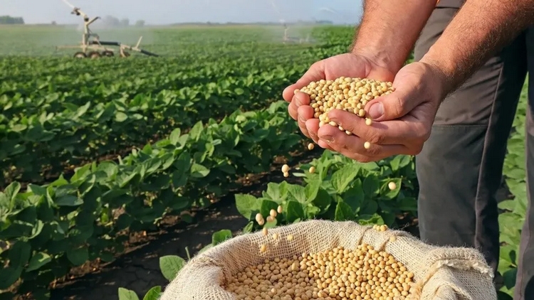 Precios y tipo de cambio complican a la agroindustria