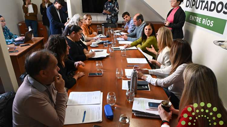 Proponen que la selección de los jueces de Paz pase por el Consejo de la Magistratura