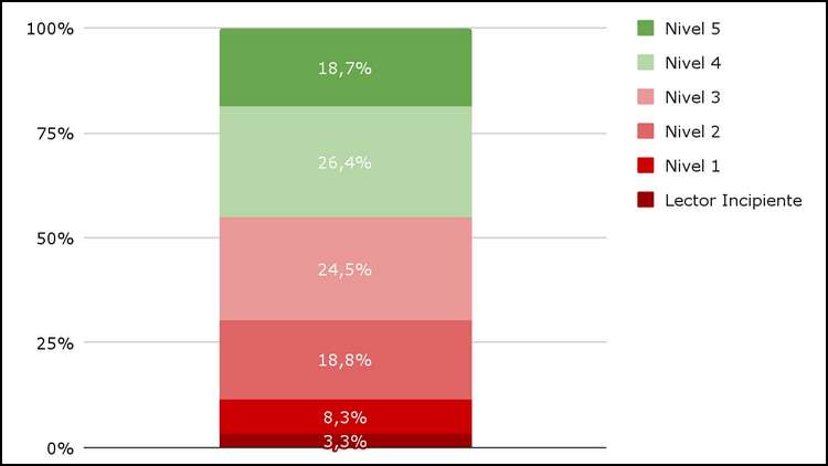La mitad de los chicos no entiende lo que lee, y 1 de cada 5 de nivel socioeconómico bajo son analfabetos