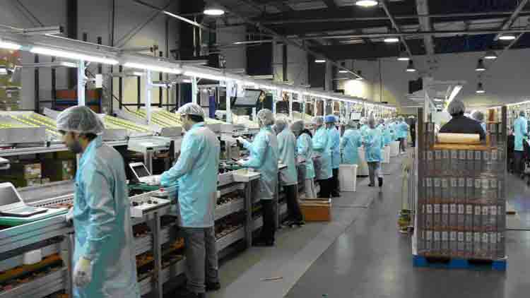 Cuarto mes consecutivo de caída: el empleo privado no logra repuntar