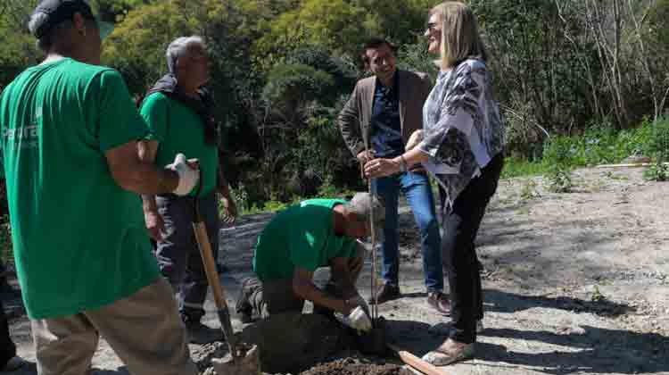 Paraná celebró el Día del Árbol fortaleciendo su Plan de Arbolado Urbano