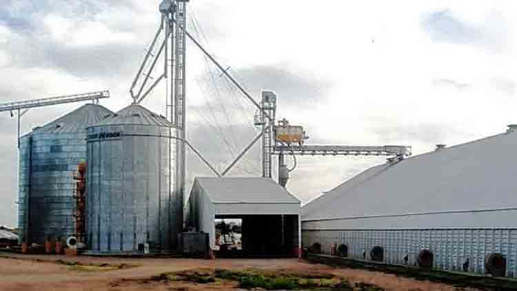 Las 12 empresas agroexportadoras que fueron las grandes ganadoras con las retenciones 0%