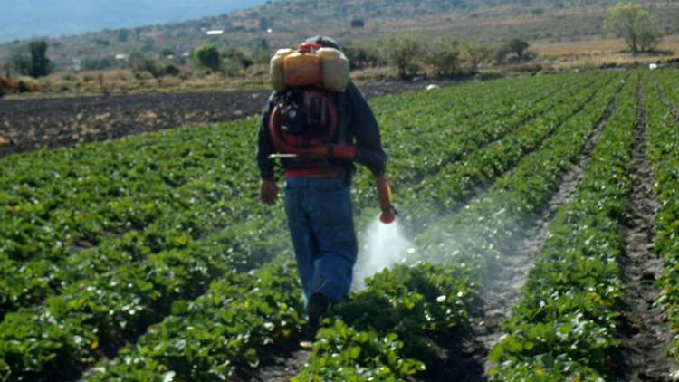 La Región Centro unificó criterios para regular la labor de los aplicadores de fitosanitarios