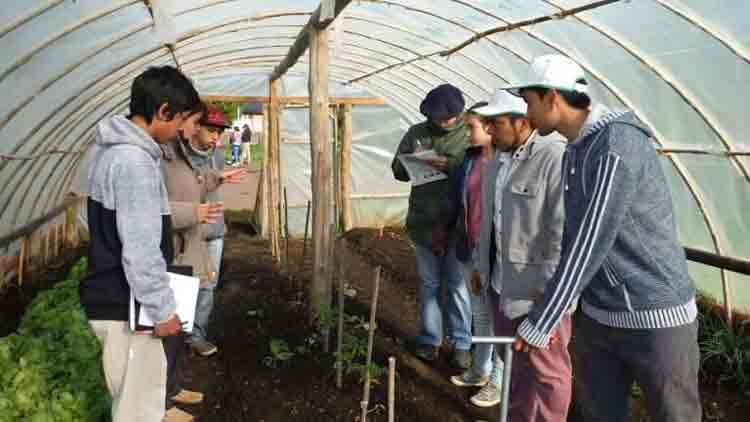 Preocupación por posible quita de financiamiento a agrotécnicas: “Esas partidas son fundamentales”