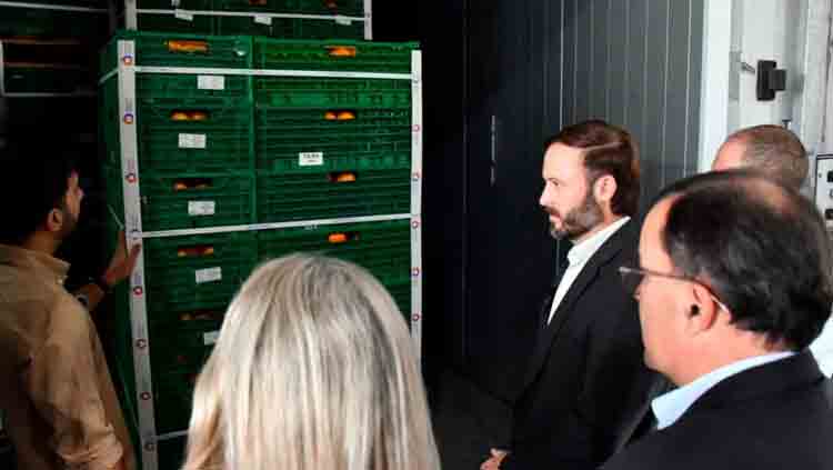 De Entre Ríos a Ecuador: exportan 21 palets de citrus que recibieron tratamiento de frío