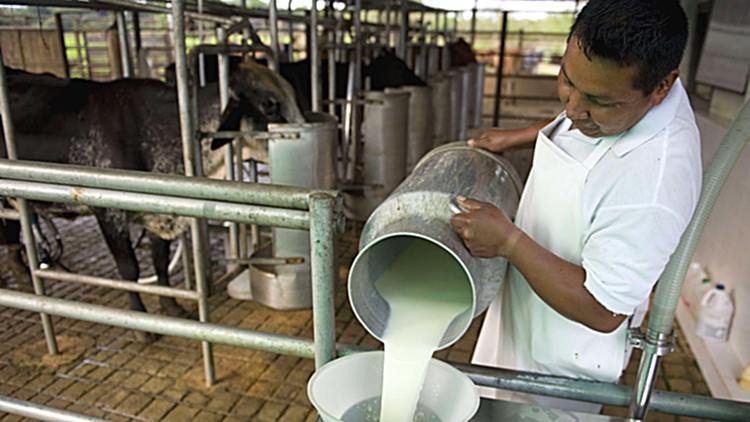 Freno al precio de la leche que cobran los tamberos: Subió sólo 9% en el último año