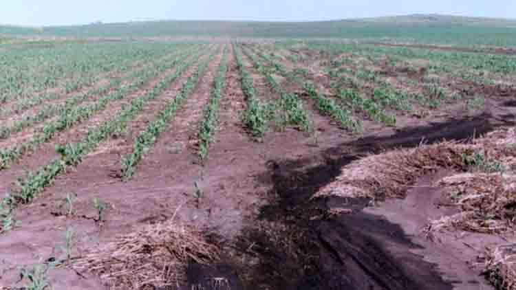 ¿Cuánto nos cuesta el proceso de erosión y degradación de los suelos?