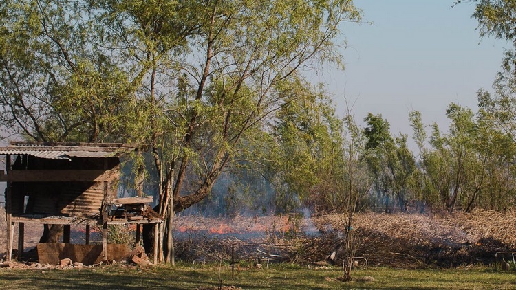 Desarrollo productivo: el Gobierno formó a agentes del Estado en materia ambiental