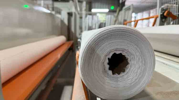 Otra papelera en el Río Uruguay: Paysandú como destino de una planta del grupo Amberplan