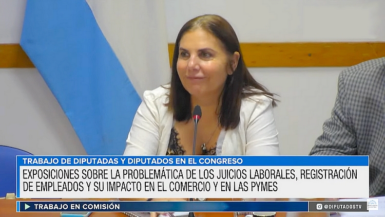 Gabriela Lena, presidiendo debate sobre registración laboral.