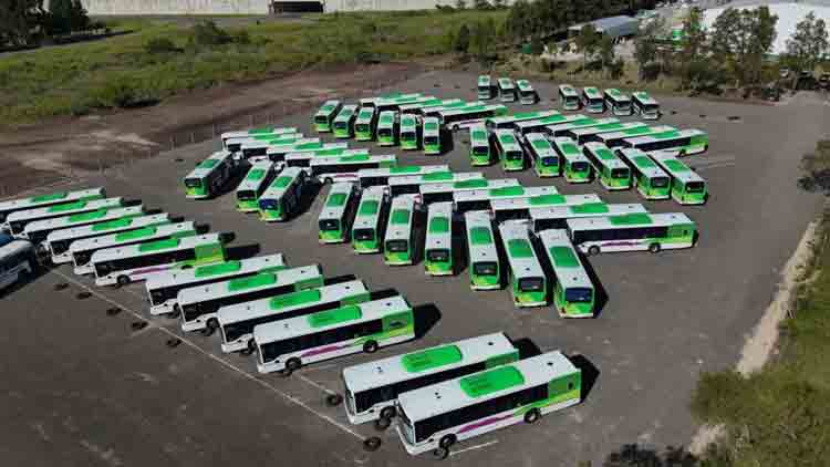 Paraná: la Municipalidad presentó la flota 0 km del Nuevo Sistema de Transporte Urbano de Pasajeros