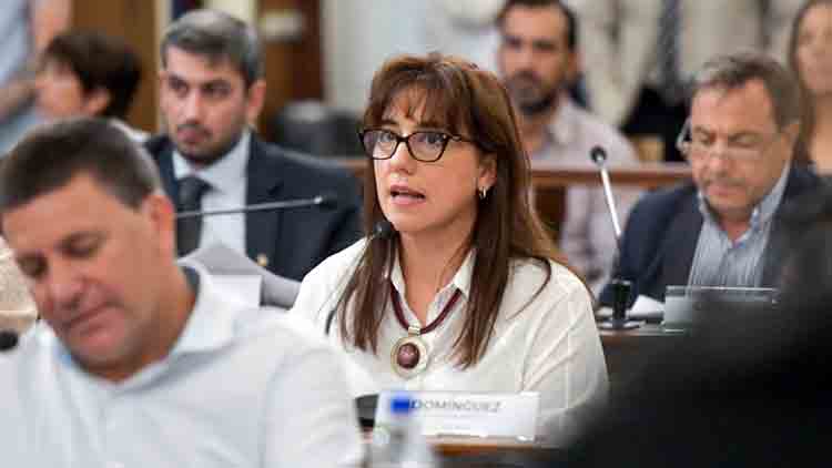 Las declaraciones de la senadora a la que sus compañeros quieren expulsar del PJ